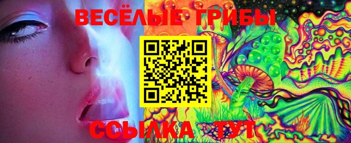 Галлюциногенные грибы прущие грибы  Вход с VPN  Великий Новгород 